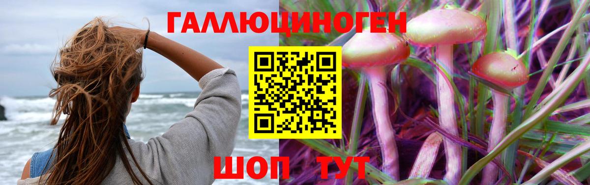 Псилоцибиновые грибы MAGIC MUSHROOMS  Вход с VPN  Егорьевск 