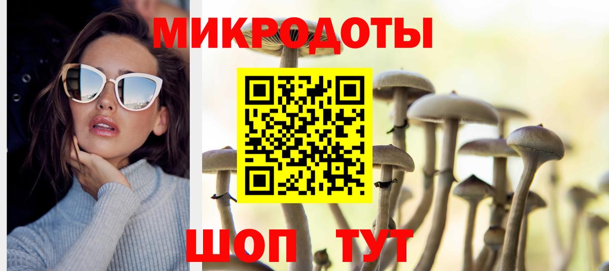 Псилоцибиновые грибы мицелий Егорьевск